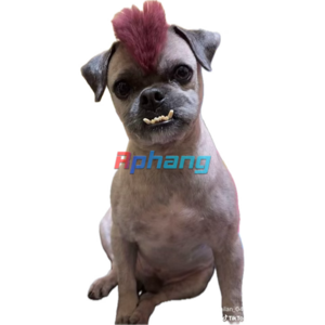 1767793433537.png