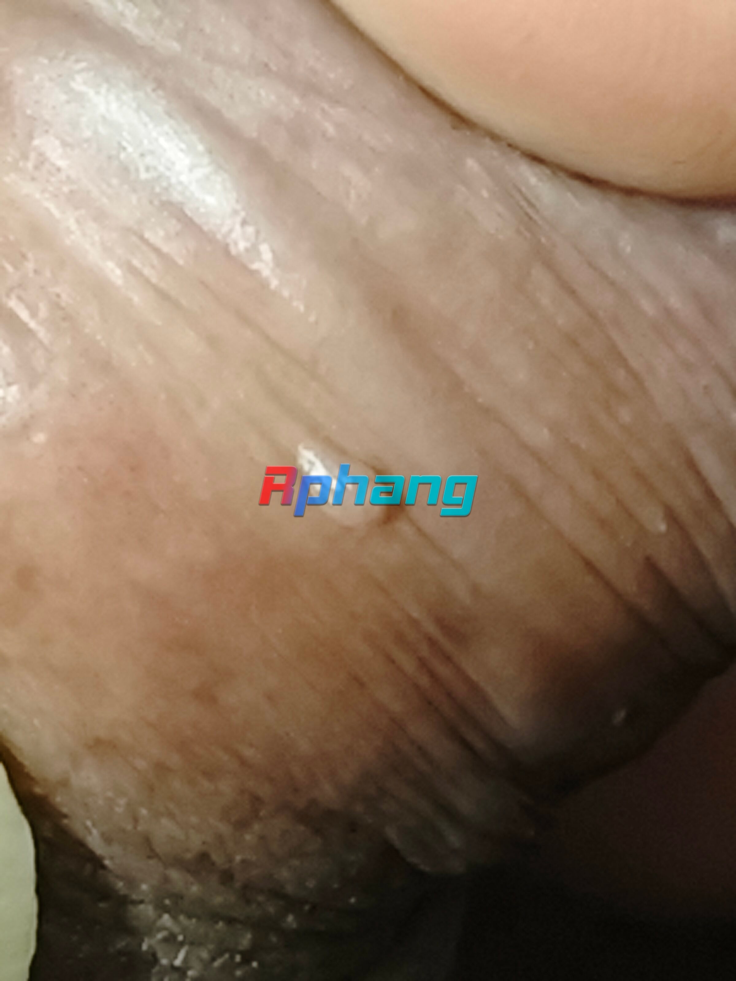 1769946407787.jpg
