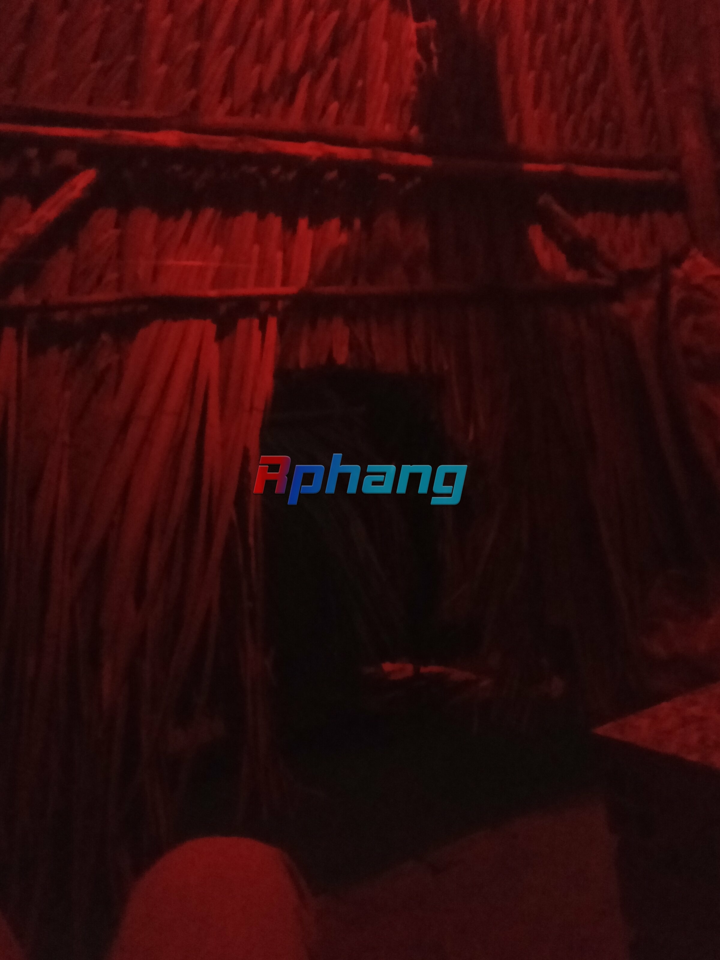IMG20260203203856.jpg