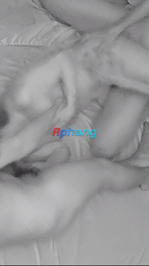 0405474650556 (1).gif