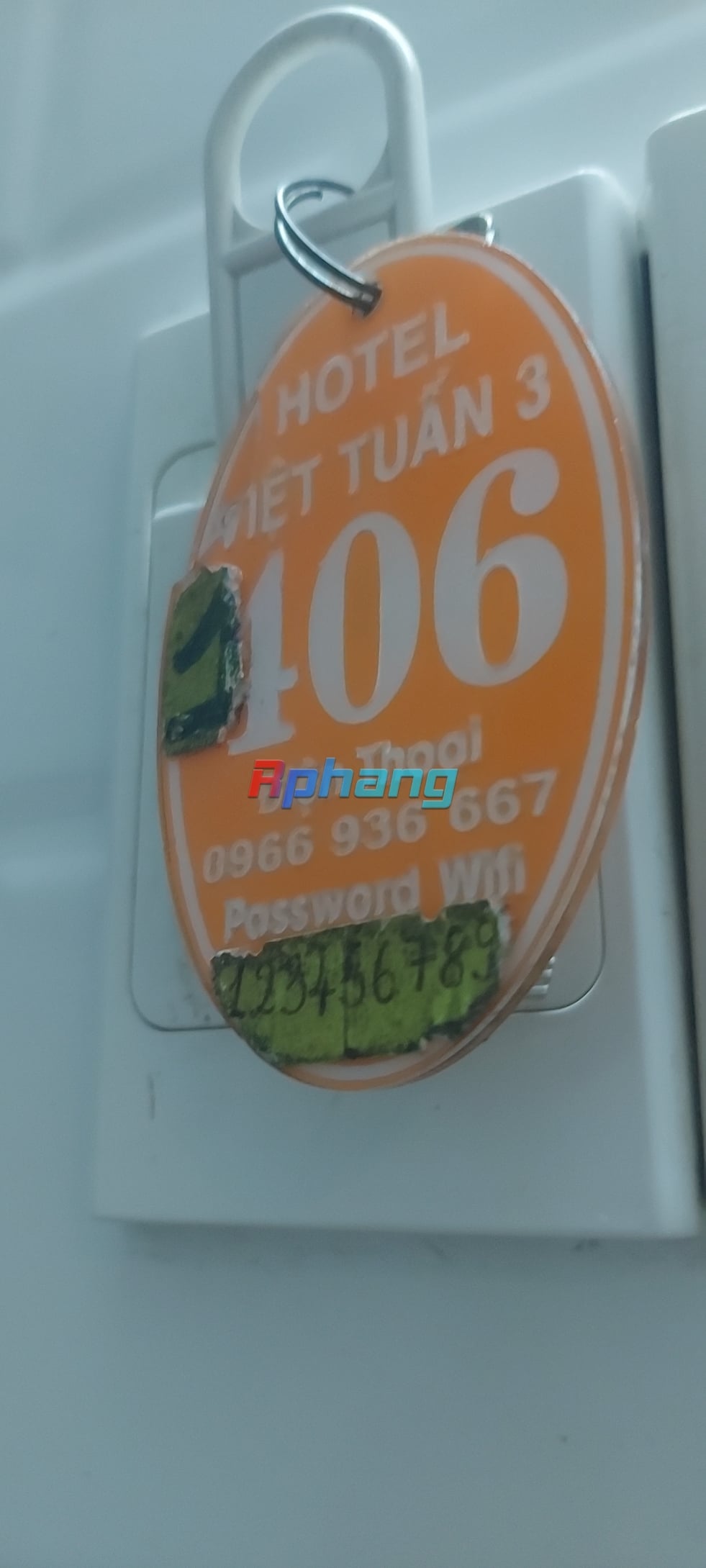 1000006986.jpg
