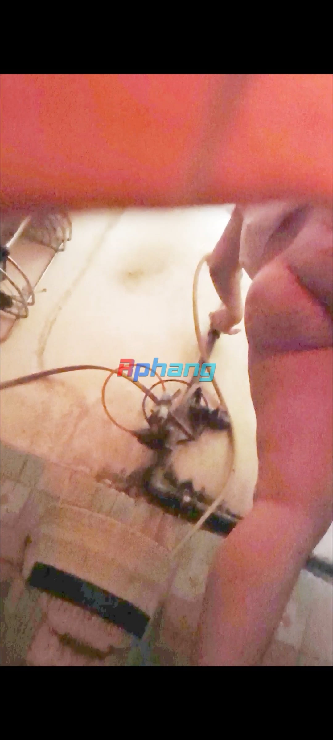IMG_20260324_201130.jpg