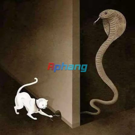 images (1).jpeg