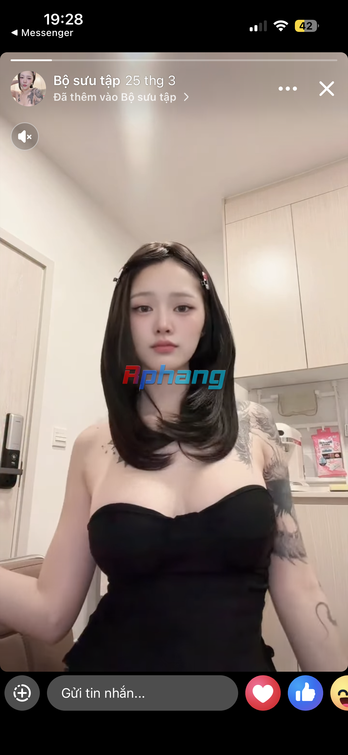 IMG_6284.png