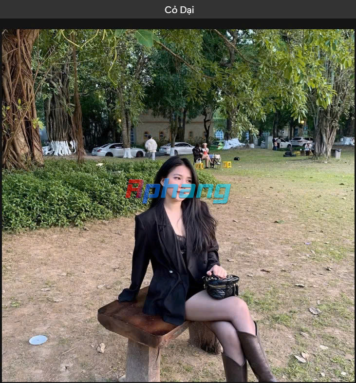 efe6a2cb28c6a998f0d7.jpg