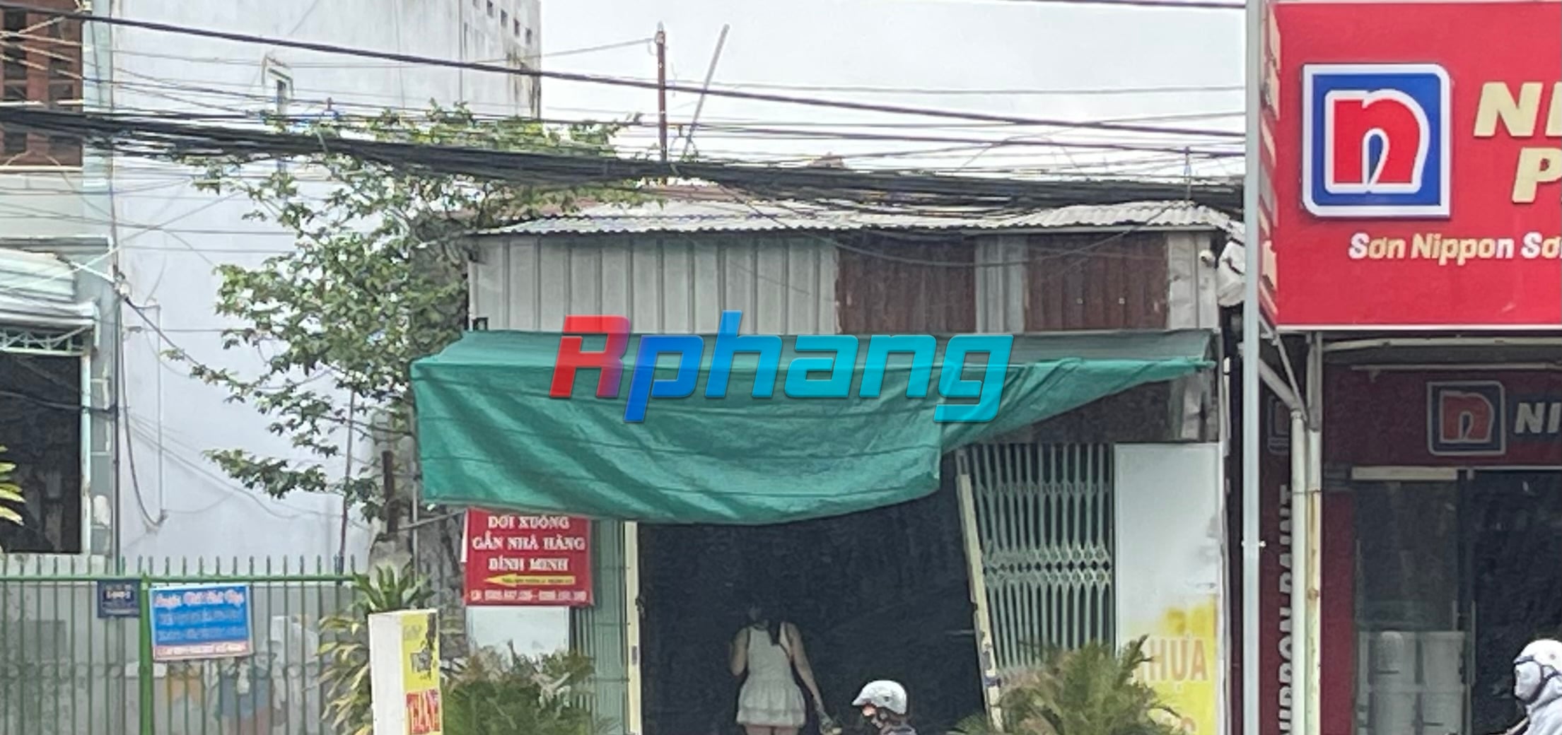 IMG_3322.jpeg