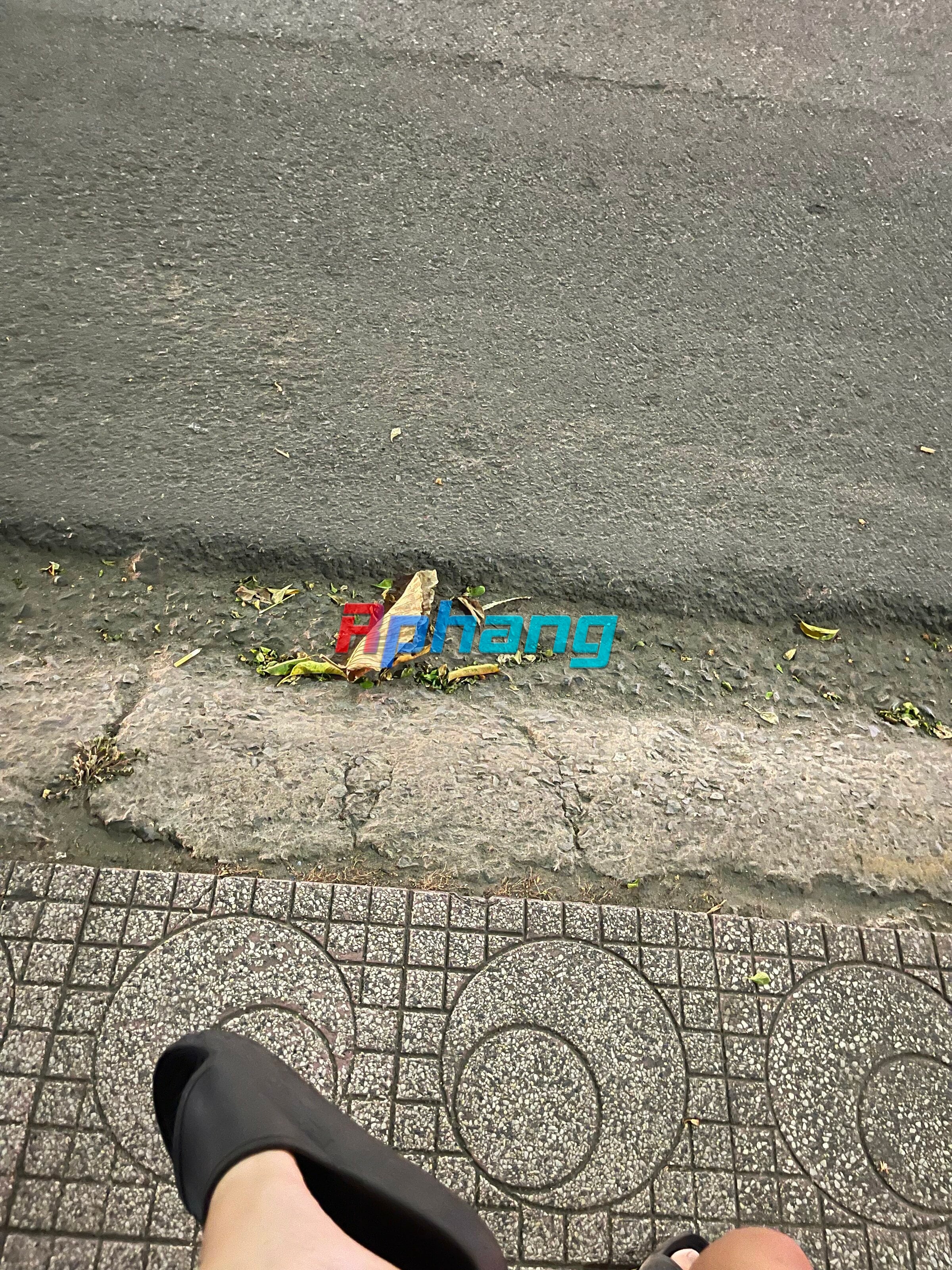 IMG_1082.jpeg