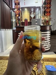 IMG_8398.jpeg