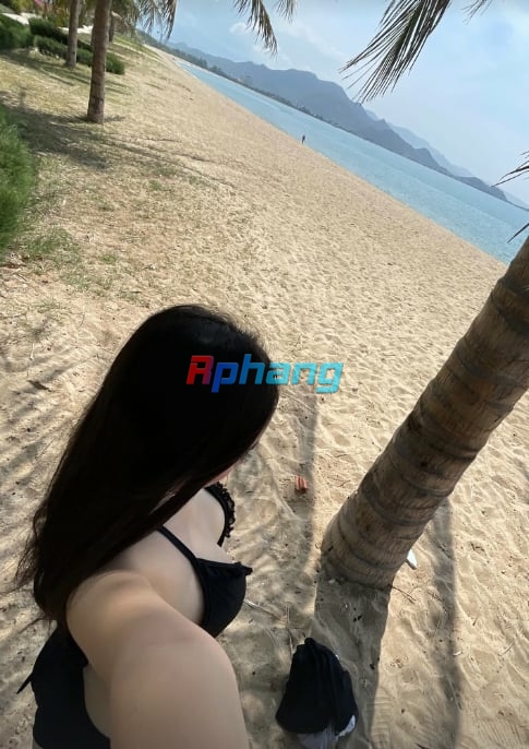 8153.jpg