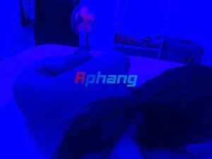 IMG_0510.jpeg
