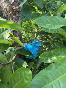 IMG_1622.jpeg