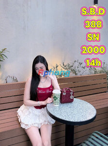 388.jpg