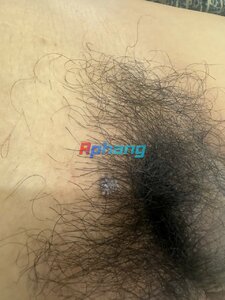 IMG_2827.jpeg