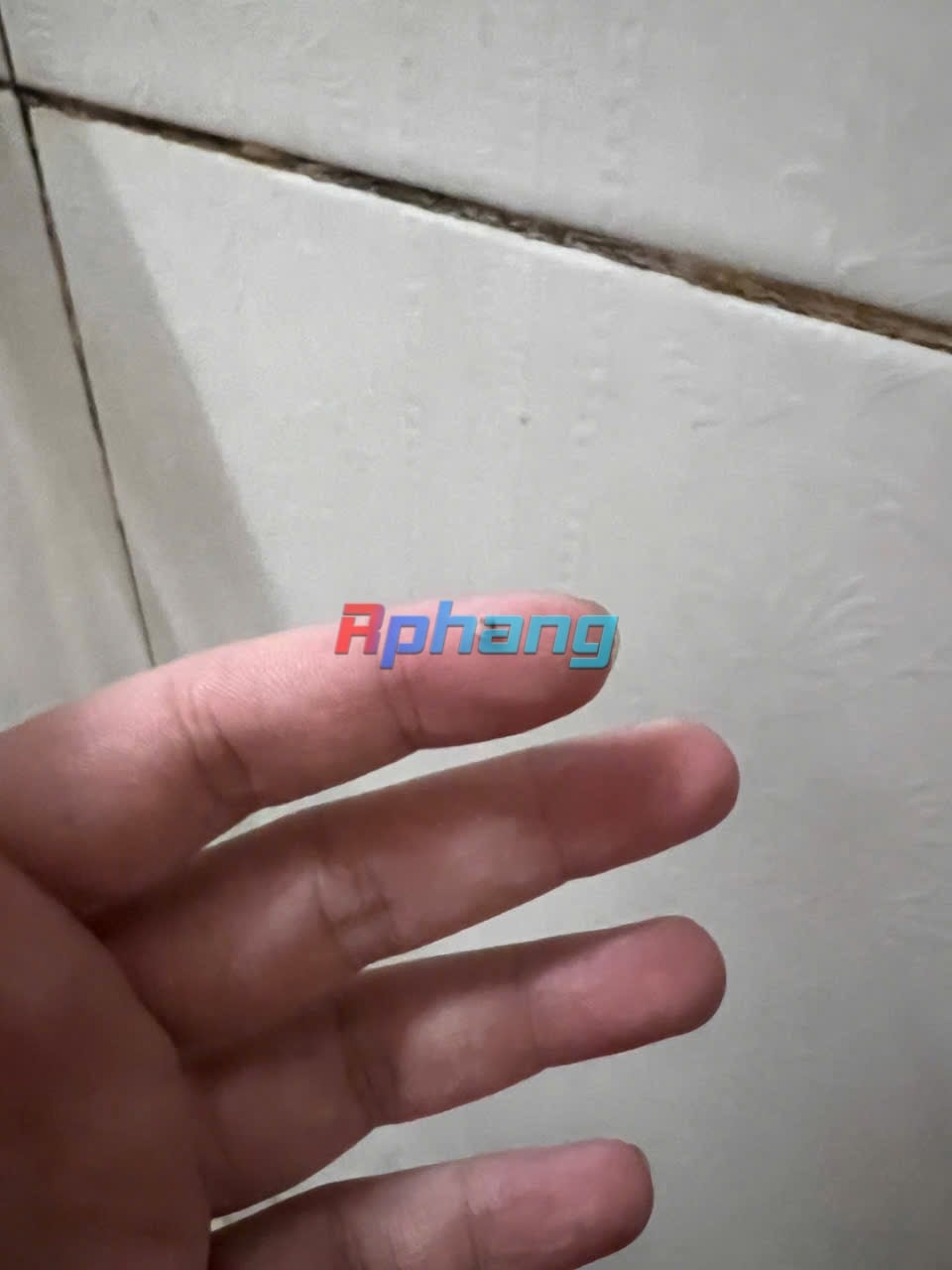 IMG_3046.jpeg
