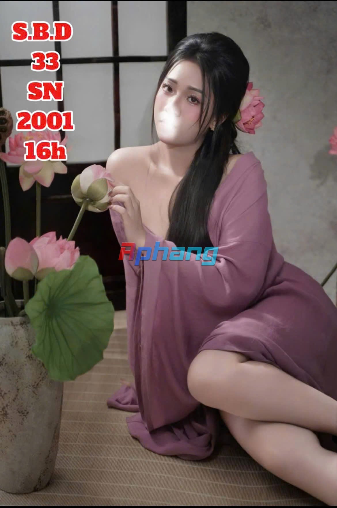 33..jpg
