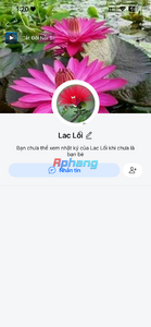 IMG_6011.png