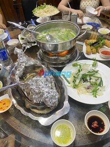 IMG_3250.jpeg