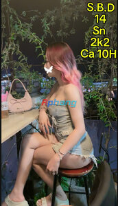 14..jpg