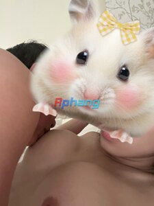 IMG_7266.jpeg