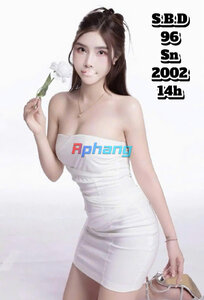 96.jpg