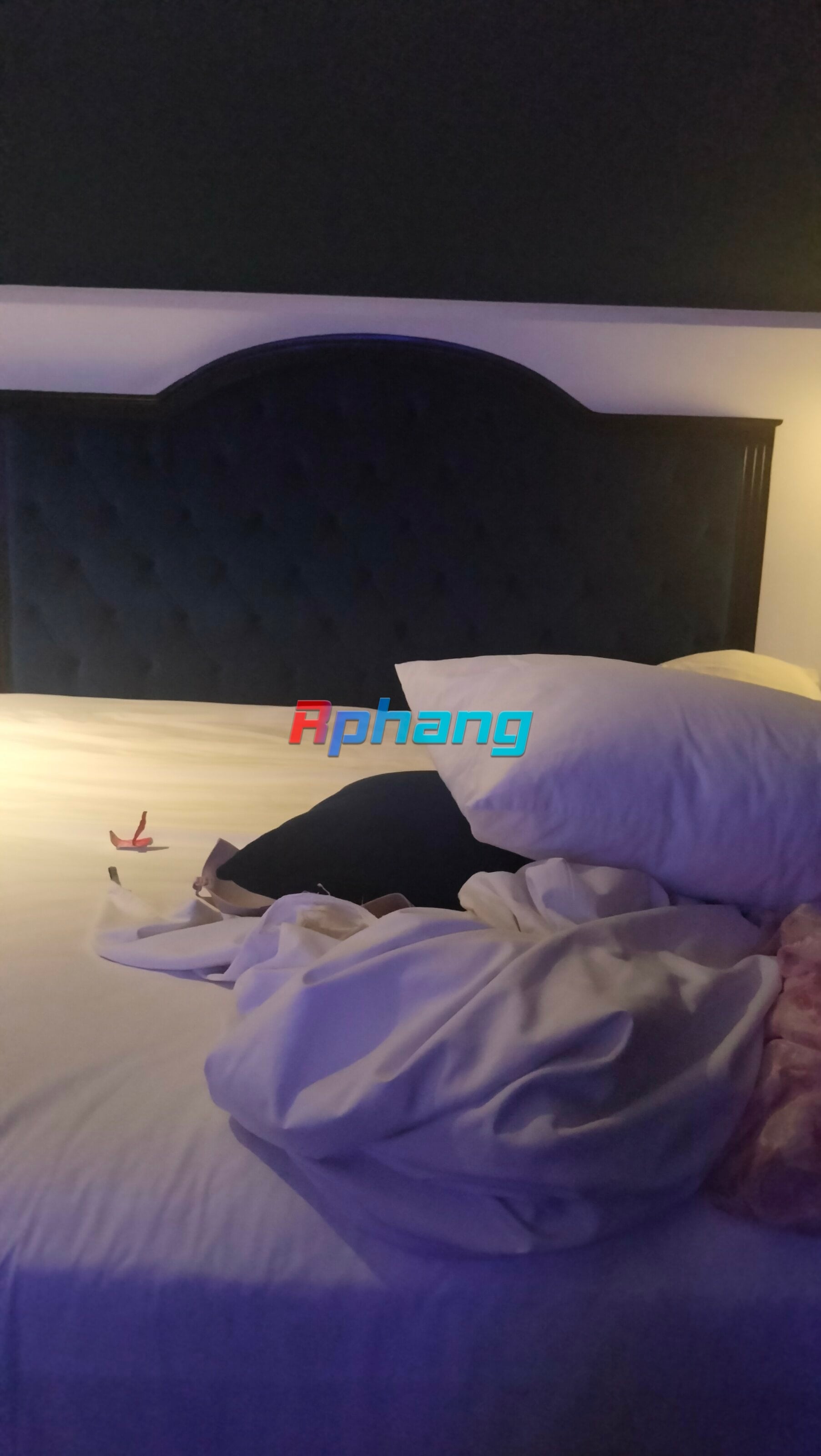 IMG20260803201306.jpg