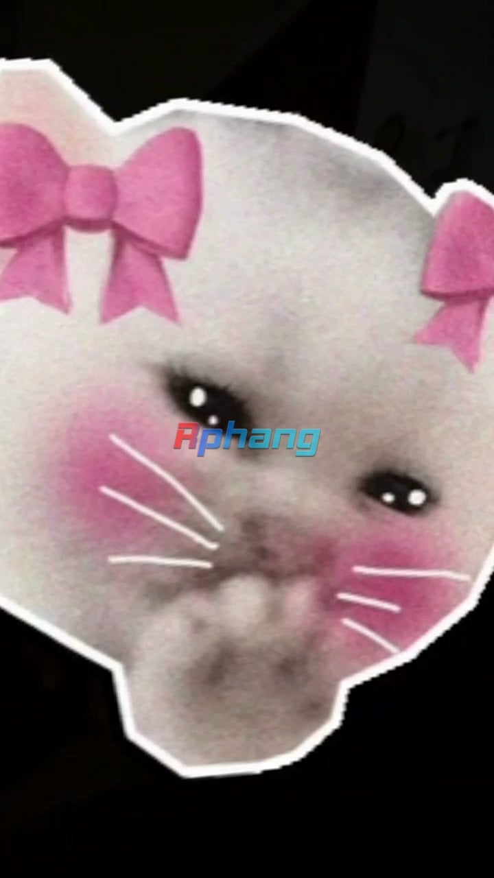 VID_20260814_123825.jpg