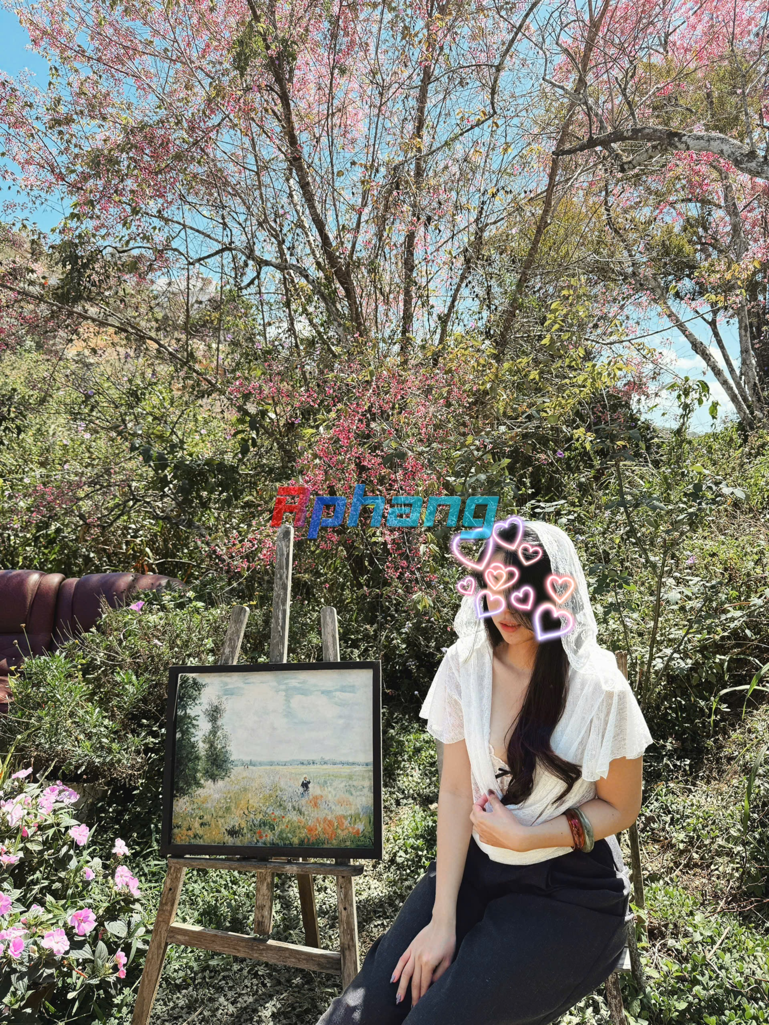 IMG_8777.png