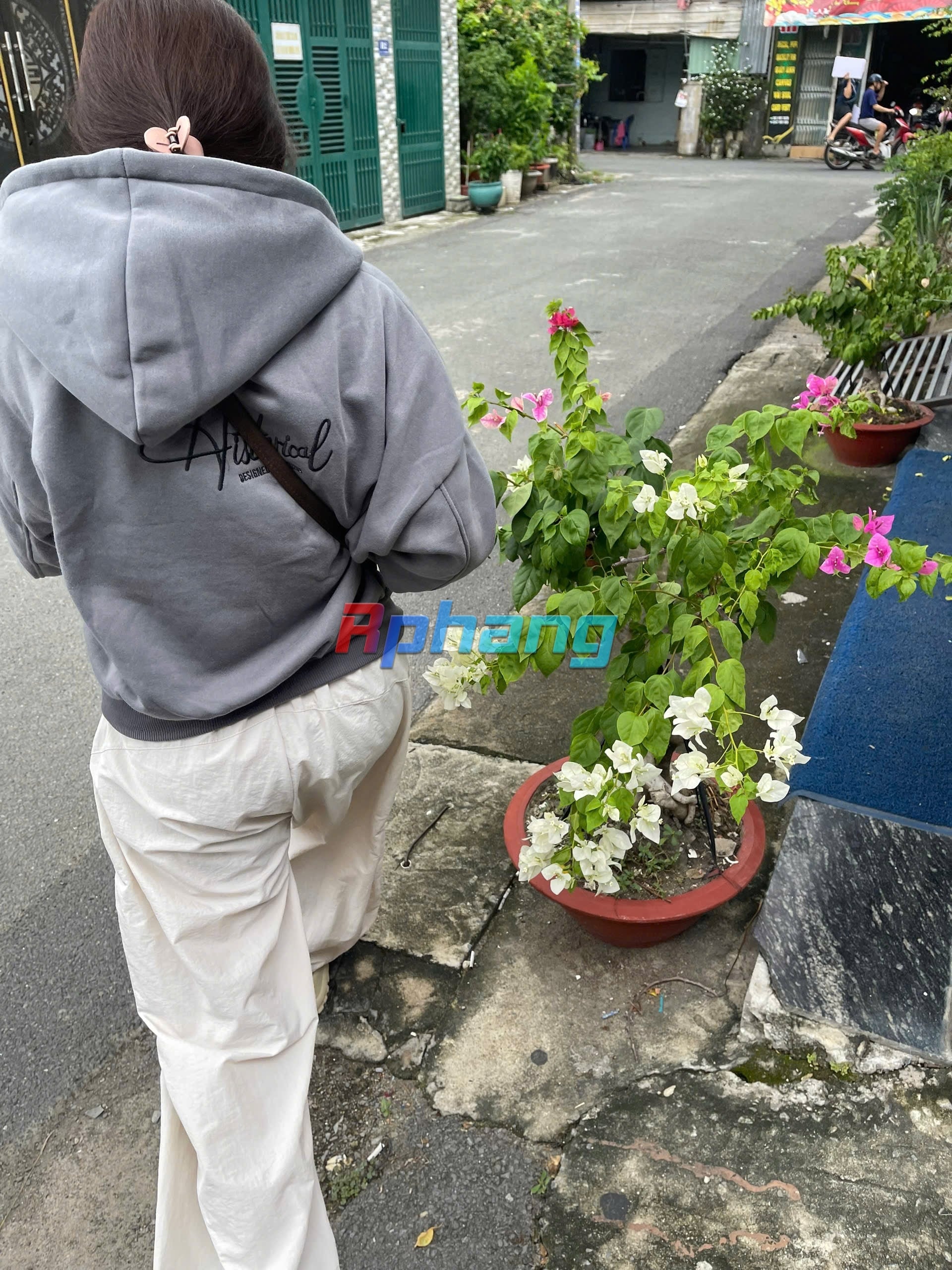 IMG_2373.jpeg