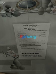 IMG_0181.jpeg