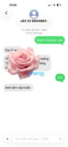 IMG_8746.png