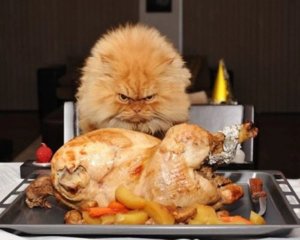 6236921864_8a3049b0e3.jpg