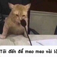 neversaynever