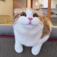 comewillcome