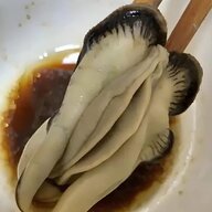 Muoibonphan