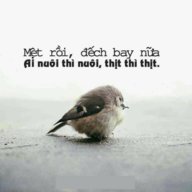 Tan Thieu Nien