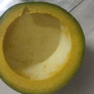 Tìm gái xoạc