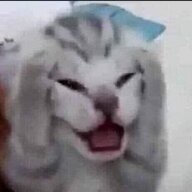 Khanhhhhs joke