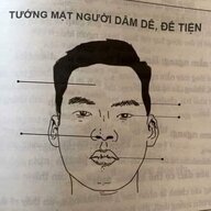 daubac124
