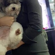 HẠ TRÂM