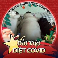 điệp viên 007