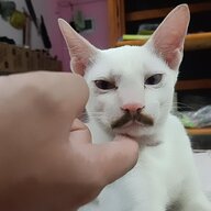 nhỏ biến bự
