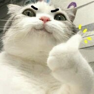 babao