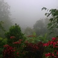 trantrungbui91