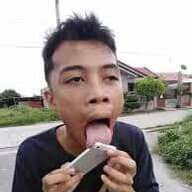 Sincubự