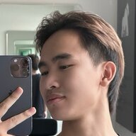 VoPhong95