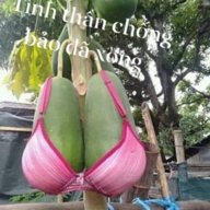 Muonthusome