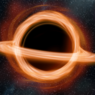 Black Holes
