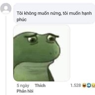 Tunghp123