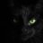 Blackcat127