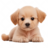 tikeykg